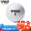 PGM 高尔夫球 二层练习球 Q031 10个装