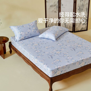 水星家纺40支全棉床笠 A类100%纯棉防尘印花单件单人床上用品180cm×200cm
