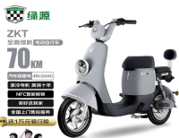 绿源 电动车ZKT新国标48V24AH锂电池液冷电机长续航电动自行车静谧灰