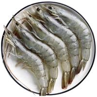  大黄鲜森 鲜活 厄瓜多尔白虾