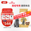 皇家 猫粮 英短成猫粮 BS34 通用粮 12月以上 10KG