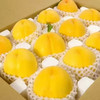 花慕辰 正宗 山东蒙阴 大黄桃 2.5斤装 (4-8个）