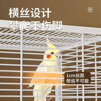 威毕鹦鹉鸟笼高透玻璃横丝防溅虎皮玄凤牡丹家用豪华别墅繁殖笼子