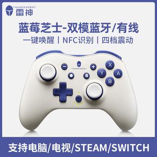 ThundeRobot 雷神 G40 蓝牙双模游戏手柄