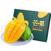 精选金煌芒果 净重4.5斤 特大果（单果400g-1000g+）