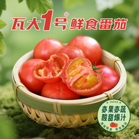  Mr.Seafood/京鲜生 自然熟 鲜食番茄  网状套袋、空气气柱、泡沫保温箱、五层瓦楞纸 单果45g+ 900g