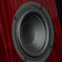 凯音(Cayin)T40凯音斯巴克发烧HIFI无源音箱高保真家用客厅电视桌面2.0音响 T40