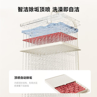  SSWW/浪鲸 易洁 淋浴花洒 全铜主体 大顶喷