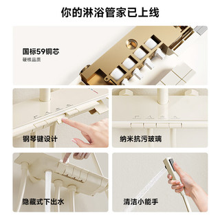  SSWW/浪鲸 易洁 淋浴花洒 全铜主体 大顶喷
