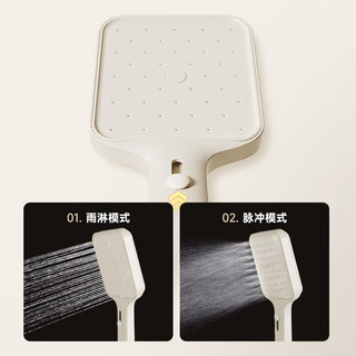  SSWW/浪鲸 易洁 淋浴花洒 全铜主体 大顶喷