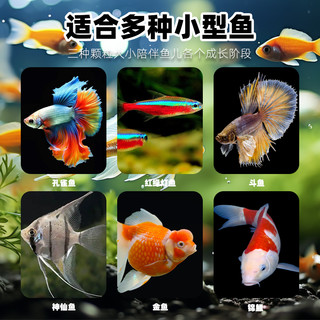 鱼粮金鱼饲料观赏鱼锦鲤鱼食增色鱼粮大中小颗粒不浑水鱼食物饵料