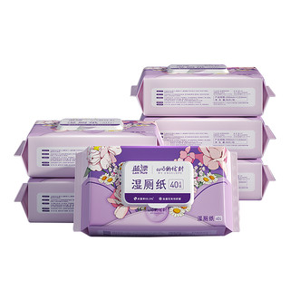 蓝漂优 加厚湿厕纸
