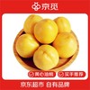 京觅 山东蒙阴黄桃 黄油桃 桃子净重2.5斤单果100g+ 新鲜水果源头直发