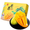 正宗金煌芒果 净重4.5斤 精选特大果 （单果400g-1000g）