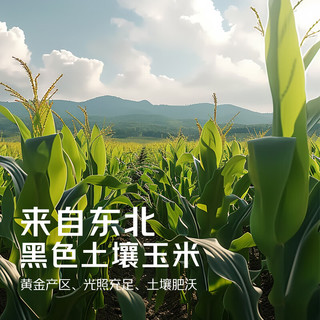 京觅东北粘糯玉米() 黄糯玉米棒低脂代餐源头直发
