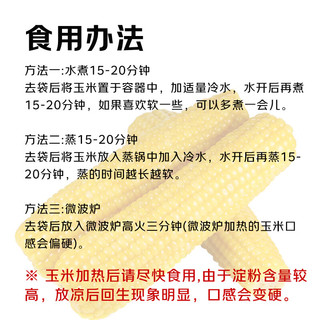 京觅东北粘糯玉米() 黄糯玉米棒低脂代餐源头直发