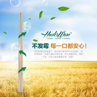 壳氏唯儿童筷子稻壳家用6-12岁宝宝幼儿园抗菌防霉无漆无蜡餐具快子 儿童筷子2双装18cm
