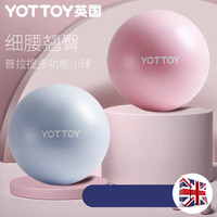 YOTTOY瑜伽球小球普拉提训练盆底肌核心俞珈器材运动弹力大球 粉蓝套装直径20cm赠打气筒 更多瑜伽球尺寸