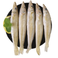 渔吻 沙丁鱼海捕新鲜冷冻海鱼深海鱼生鲜鱼类烧烤食材