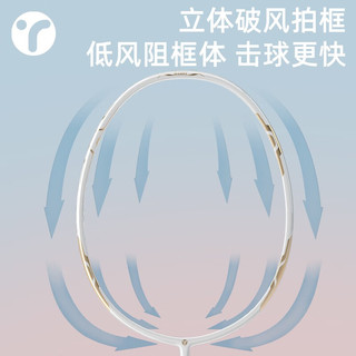 英瑞特（YINGRUITE）羽毛球拍双拍碳素纤维复合一体初学者入门耐打超轻套装 5U单拍全碳素-钢琴黑-进阶训练