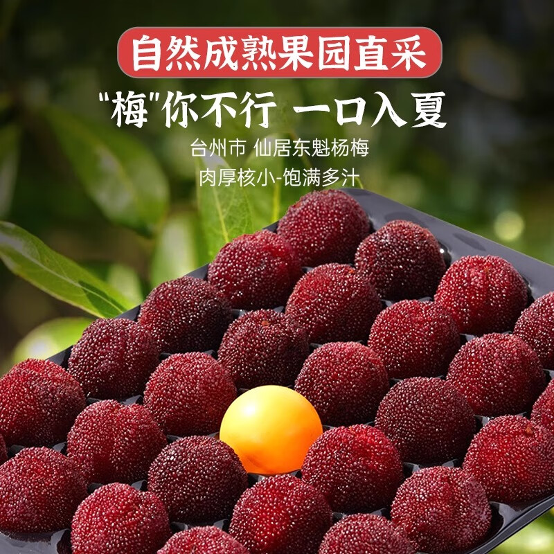 储褚现货浙江仙居东魁杨梅新鲜大杨梅水果【顺丰空运】颗粒高端 （单果16-22g)特级果