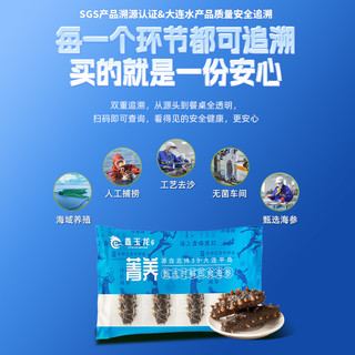 鑫玉龙菁养即食海参1500g独立包装大连底播海参3斤装辽刺参 5000g