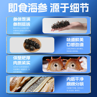 鑫玉龙菁养即食海参1500g独立包装大连底播海参3斤装辽刺参 5000g