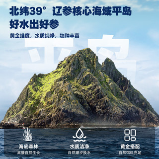 鑫玉龙菁养即食海参1500g独立包装大连底播海参3斤装辽刺参 5000g