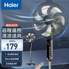 海尔 Haier 电风扇家用落地扇 节能音轻风扇办公室遥控定时轻音五叶扇HFS-Y3511B