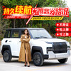 豪狮龙仰望U8四轮车电动车新能源油电两用家用老头乐成年人代步车新款接送孩子全封闭油电两用72V续航200公里