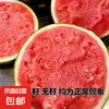 京喜加 正宗麒麟西瓜 4-5斤 1枚装