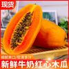 万峰村庄 海南红心牛奶木瓜5斤新鲜水果整箱包邮当季孕妇下奶冰糖青木瓜自然熟