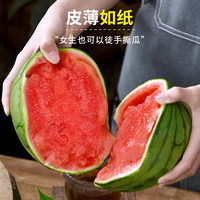 快递现摘2k小糖丸西瓜 净重5-5.5斤 2个装 新鲜脆甜蜜瓜整箱