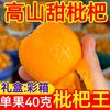 馋老师 四川大五星枇杷2斤箱甜枇杷