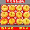 花慕辰 正宗蒙阴 王母蟠桃 黄金大蟠桃 2.5斤装（5-8个）