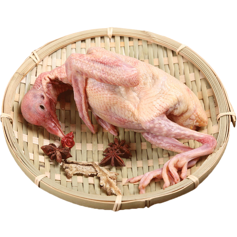 均鲜新鲜原粮乳鸽生鲜鸽子现杀农家非老鸽肉烧烤清蒸孕妇产妇月子煲汤 母乳乳鸽