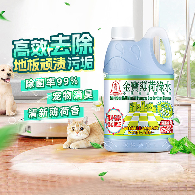 金宝 全能清洁辟味剂 薄荷清香 地板清洁液 1L