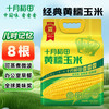 十月稻田 SHI YUE DAO TIAN 黄糯玉米 3.52斤(220g*8根) 东北甜黏玉米棒 早餐苞米