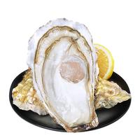 【高品质】鲜海道乳山生蚝鲜活特大牡蛎海鲜海蛎5斤海蛎子10