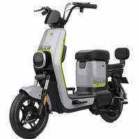 宝岛 新国标电动车自行车电瓶车锂电池代步男女成人小型车轻便电车