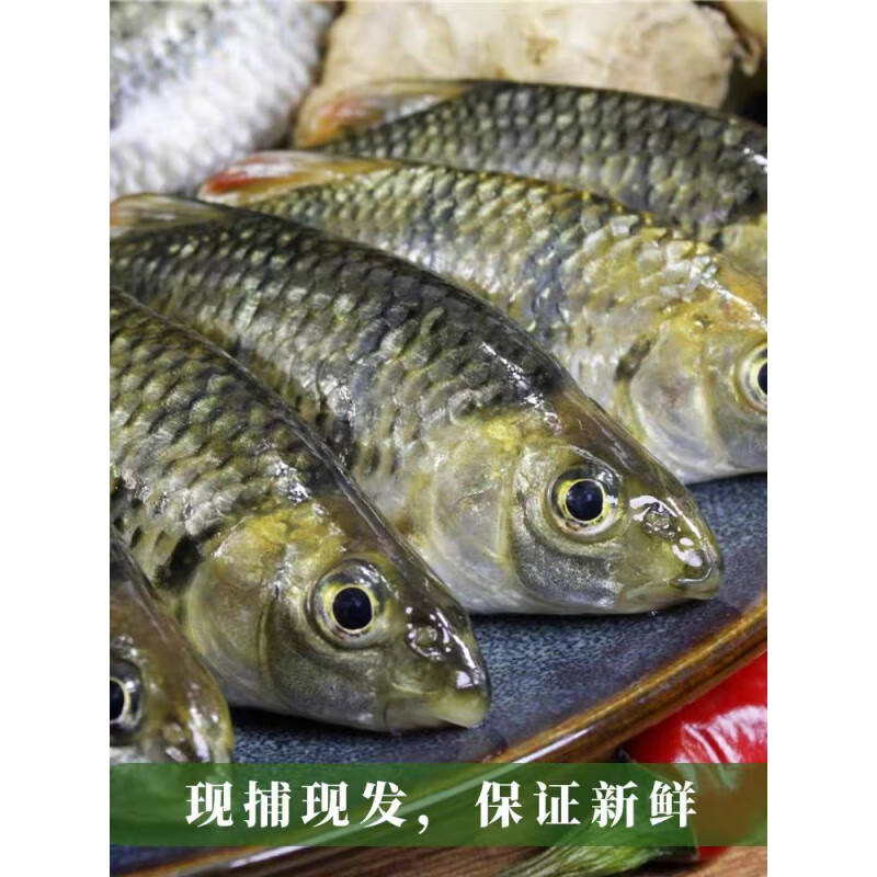 十里馋溪水石斑鱼新鲜小河溪流鱼深山野外淡水小杂鱼鱼干现杀现发 石斑鱼400g(净膛) 5人份
