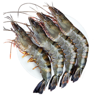 东上御品 鲜冻黑虎虾特大 净重 16-20只/印度年货-源头直发