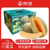 京觅 新疆吐鲁番火焰山蜜瓜 1-2枚4-5斤 新鲜水果生鲜甜瓜