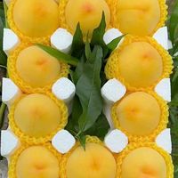 尹福记 特大果 山东蒙阴 黄金毛桃 2.5斤装 4-6个