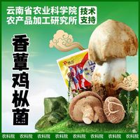 菌香传奇即食菌菇鸡枞菌500g 云南特产香蕈鸡枞菌解馋小吃休闲零食 即食鸡枞菌500g