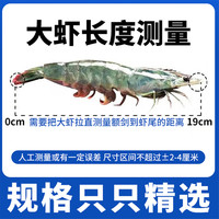 津尚鲜 盐冻基围虾 海鲜水产