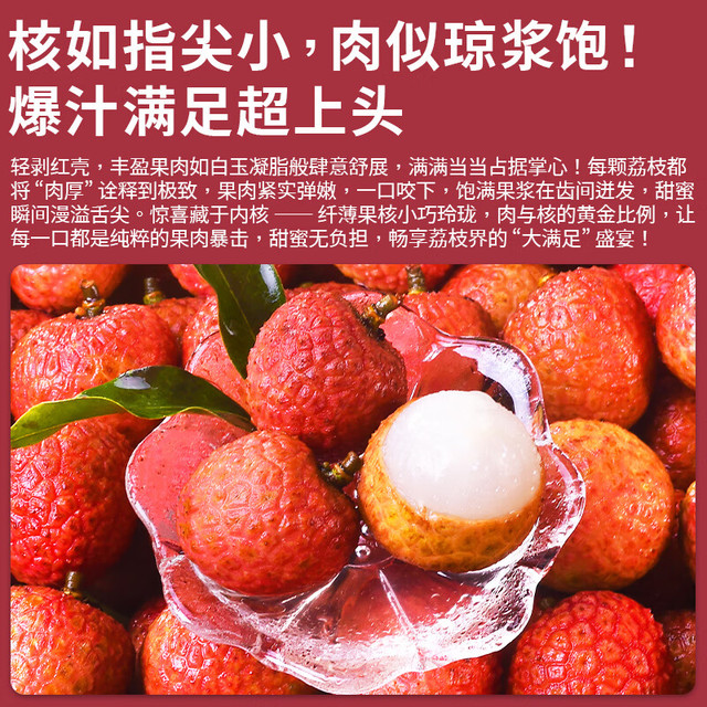 优味集 白糖罂荔枝广东特产鲜采带枝新鲜应季酸甜整箱水果 净重5斤家庭装（超划算）