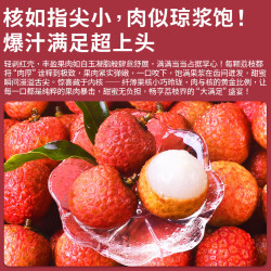 优味集 白糖罂荔枝广东特产鲜采带枝新鲜应季酸甜整箱水果 净重5斤家庭装（超划算）
