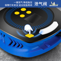 米其林充气泵M2201