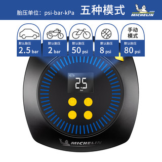 米其林充气泵M2201